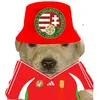 danilo_tv_
