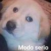 jhonataneduardopa1