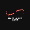 space_hawksasmr