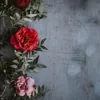 haneenmohamed1529