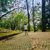 unseen_shadow_boy