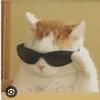 dontmindthatmeow