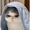 usermsw6hbbyiq