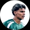 neverlose_zuhayp8