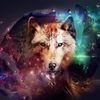 bayouwolf6