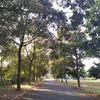 rowan.a.naturelover