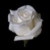 mona_alahmad80