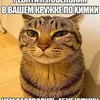 sbeyvolk