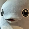 ts0ki24