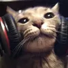 yourmomsneighbors1