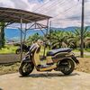 scoopy._donat