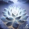 khanhnhung790