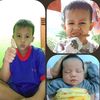 therenashop