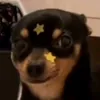 soutiktok6