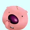itzz_dth.ngle