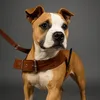 trovaopitbull2025