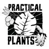 practicalplants