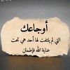 user8564582069001
