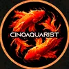 cinoaquarist