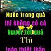 phngqunh9045