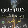 mstfmstf44