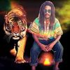 lionlion9433