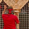 mohamed_mohsen062