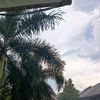 can_likaimuyt