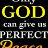 user159309214899whitedia