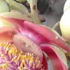 userjouecm72g4