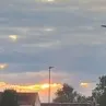 theonlywayisflylikedeen