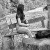 ceriana__