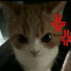 _kwhnd