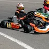 taksa.77