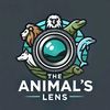 theanimalslens