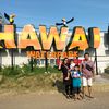 alamsyah86211