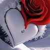 user8145710271304