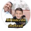 shezi1020