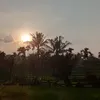 naldiprayoga2003