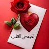 feya12307fa