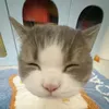 hhieeen9