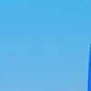telegrameenballlee