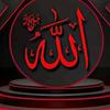 muhammed.alivtef