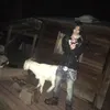 kaiひ