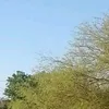 el_ro_dri