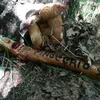 pinocchio.94