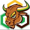 blockchainbulllhorn4