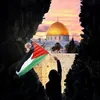 hamzacayir85