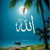 dabal172