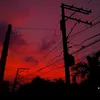 clark_791
